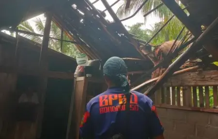 Cuaca Ekstrem di Cermee Bondowoso, Pohon Lapuk Timpa Dapur Warga Foto BeritaJatim.com