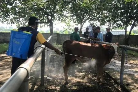 Foto BeritaJatim.com