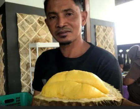 Lereng Gunung Wilis Madiun, Surga Bagi Penikmat Durian Foto BeritaJatim.com