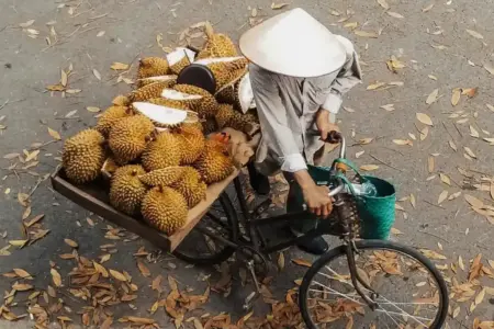 Ini Rahasia Durian Lokal Jatim Kebal Gempuran Produk Impor Menurut Pakar UB Malang Foto BeritaJatim.com