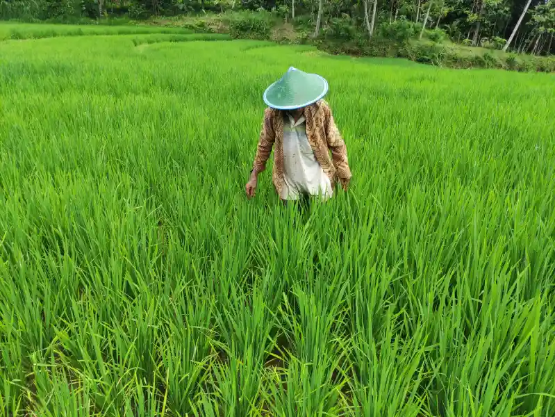 Foto BeritaJatim.com