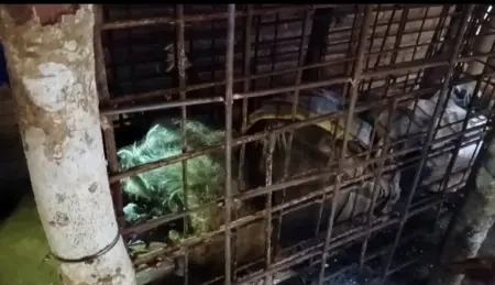 Cerita di Balik 20 Tahun Mbah Kirno Dikurung dalam Kandang Besi di Ponorogo Foto BeritaJatim.com