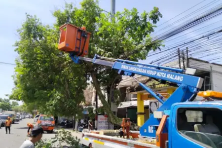 Sejumlah Titik di Kota Malang Dilanda Pohon Tumbang Foto BeritaJatim.com