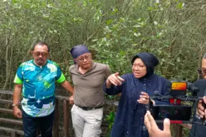 Rocky Gerung – Risma Kunjungi Kebun Raya Mangrove Surabaya Bicara Manusia dan Alam Foto BeritaJatim.com