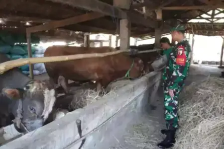 Foto BeritaJatim.com