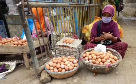 Stok Cukup, Harga Telur Ayam Ras di Sumenep Mulai Turun Foto BeritaJatim.com