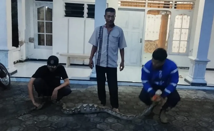 Foto BeritaJatim.com