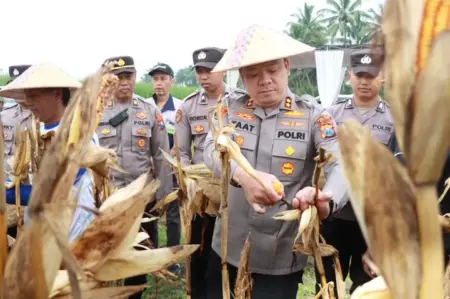 Polres Malang Panen Raya 8 Ton Jagung, Disiapkan untuk Dukung Stok Pangan Foto BeritaJatim.com