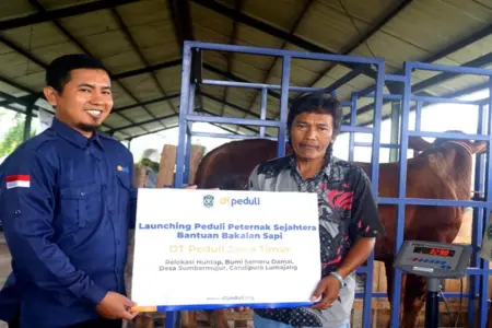 Bantu Pemulihan Ekonomi, DT Peduli Serahkan 10 Bakalan Sapi bagi Penyintas Erupsi Semeru Foto BeritaJatim.com