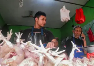 Harga Daging Ayam di Lumajang Melonjak Menjelang Ramadan Foto BeritaJatim.com