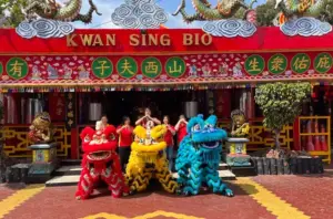 Barongsai Semarakkan Perayaan Imlek di Kelenteng Kwan Sing Bio Tuban Foto BeritaJatim.com