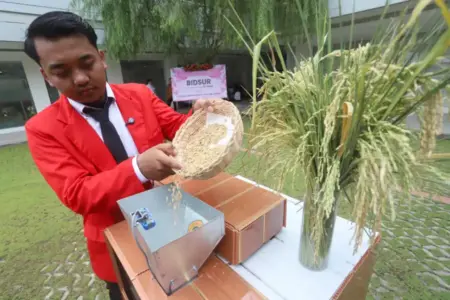 Mahasiswa Teknik Elektro Untag Surabaya Rancang Alat Pengering Padi Otomatis Foto BeritaJatim.com
