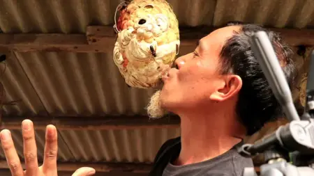 Pawang Tawon Vespa dari Pesisir Blitar, Tak Hanya Menjinakkan tapi Berinteraksi Foto BeritaJatim.com