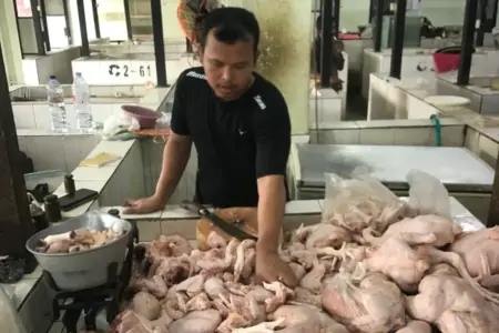 Jelang Ramadan 2026, Harga Daging Ayam di Madiun Tembus Rp40 Ribu Foto BeritaJatim.com