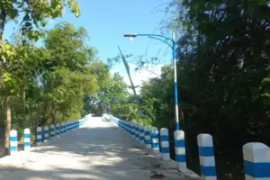 Warga Dusun Laeran Sampang Swadaya Pasang Lampu Jalan dari Donasi Perantau Foto BeritaJatim.com
