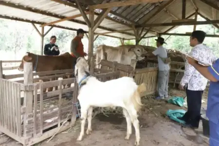 Foto BeritaJatim.com
