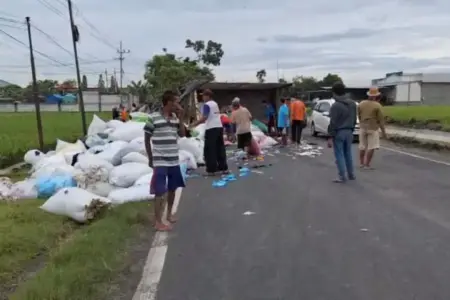 Tabrakan 2 Truk Bawa Muatan Sapi dan Kain Perca di Ngawi, 4 Orang Luka dan 2 Hewan Mati Foto BeritaJatim.com