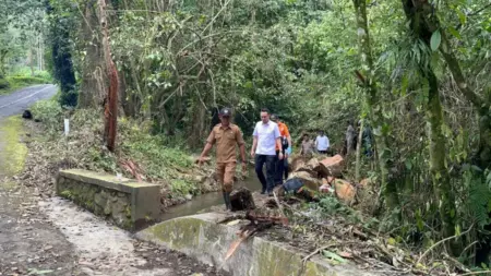 Cerita Petugas Tahura Mojokerto yang Temukan Mayat Bayi: Curiga Bau Menyengat dan Tanda Kayu Foto BeritaJatim.com