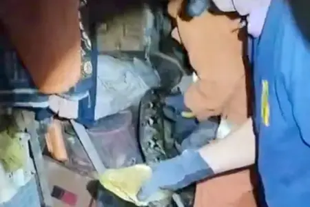 Ular Piton 5 Meter Teror Warga Tandes Surabaya, Dievakuasi Damkar dari Kandang Ayam Foto BeritaJatim.com