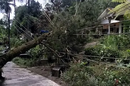 Angin Kencang Rusak 3 Rumah Warga di Lumajang Foto BeritaJatim.com