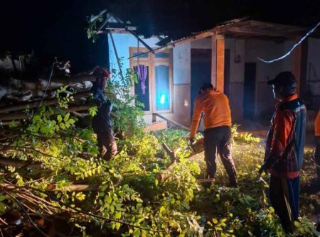 Hujan Deras dan Angin Kencang Terjang Camplong Sampang, Puluhan Pohon Tumbang dan Rumah Rusak Foto BeritaJatim.com