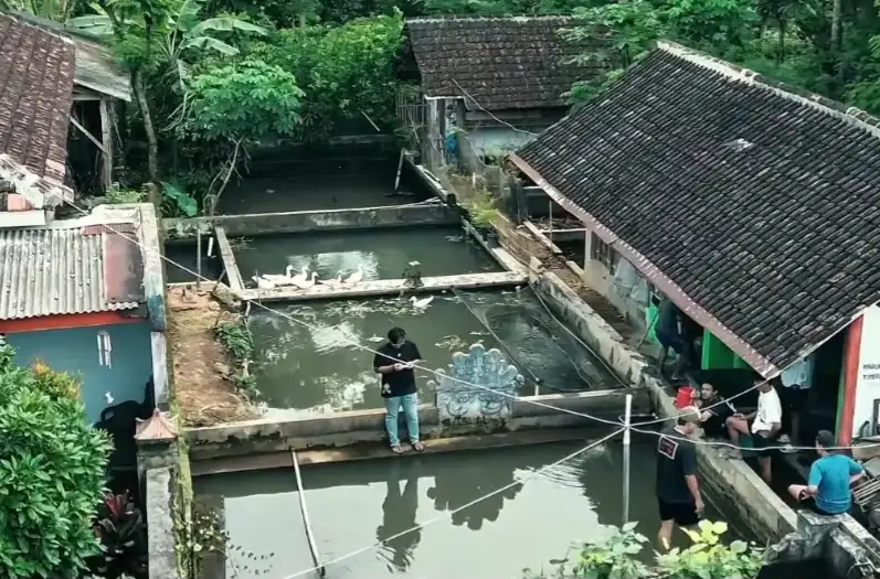 Mahasiswa UMM Inisiasi Budidaya Nila Sistem Bioflok di Desa Kebobang Malang Foto BeritaJatim.com