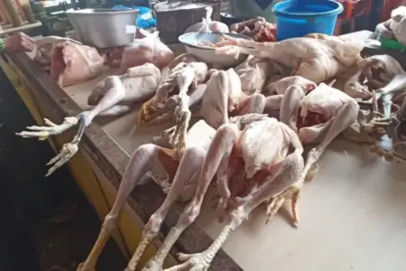 Harga Daging Ayam di Pasar Pramuka Alami Kenaikan Hingga Rp42 Ribu Foto BeritaJatim.com
