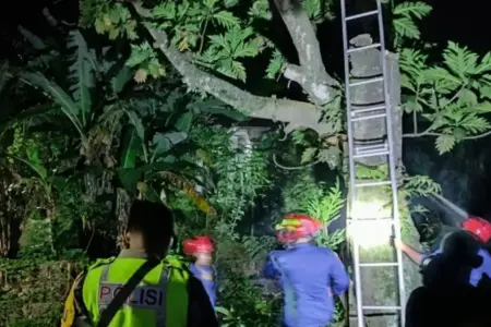 Pekerja Asal Nganjuk Tewas Tersengat Listrik saat Tebang Pohon Sukun di Bojonegoro Foto BeritaJatim.com