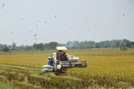 Foto BeritaJatim.com