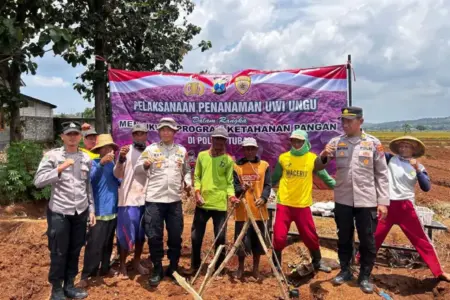 Polres Tuban Tanam 1.000 Bibit Uwi Ungu di Lahan Warga, Dukung Program Swasembada Pangan Foto BeritaJatim.com