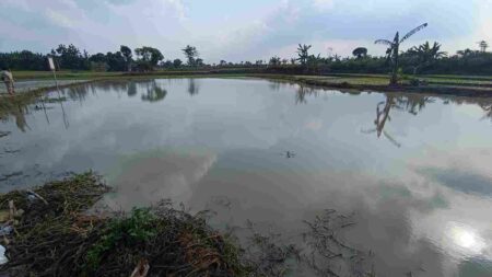 Pemkab Madiun : Reklamasi Galian C Tanggung Jawab Pemprov Jatim Foto BeritaJatim.com