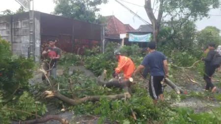 Hujan dan Angin Kencang Terjang Kota Kediri, 14 Rumah Rusak, Lalu Lintas Sempat Lumpuh Foto BeritaJatim.com