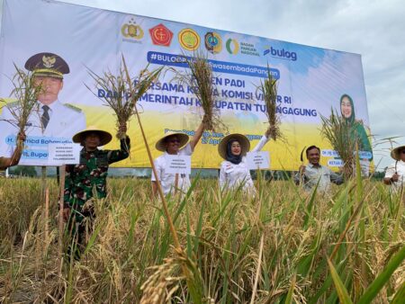 Ikuti Panen Raya di Tulungagung, Ini Komentar Anggota DPR RI Anggia Ermarini Foto BeritaJatim.com