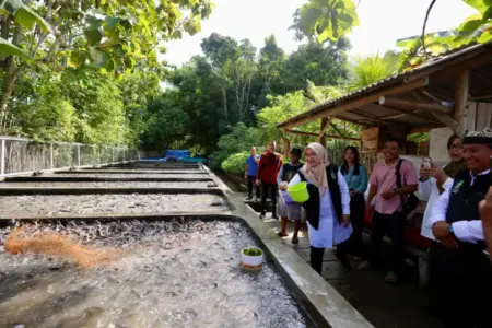 Alumni UB Banyuwangi Sukses Budidaya Lele Air Jernih, Raup Omzet Ratusan Juta per Bulan Foto BeritaJatim.com
