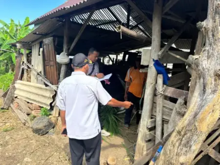 Marak Pencurian Sapi Jelang Idul Adha di Tuban, 3 Korban di 2 TKP Foto BeritaJatim.com