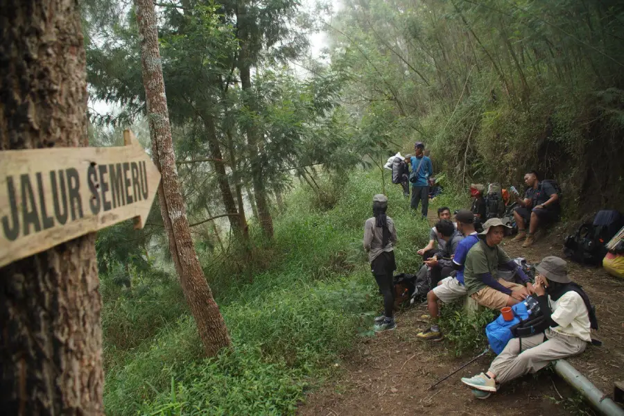 Mulai Hari Ini Pendakian Gunung Semeru Kembali Dibuka Sampai Batas Ranu Kumbolo, Begini Aturannya Foto BeritaJatim.com