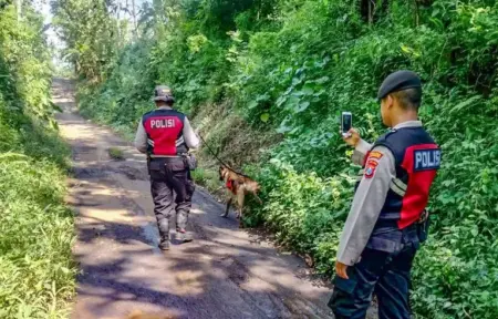 Jelang Iduladha, Sapi Warga Lumajang Justru Raib Dicuri Foto BeritaJatim.com