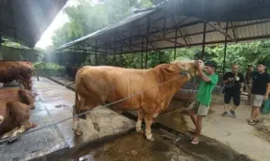 Foto BeritaJatim.com