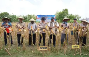 Foto BeritaJatim.com