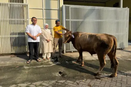 Adela Kanasya Adies Salurkan 46 Kambing dan 5 Sapi Kurban untuk Warga Surabaya-Sidoarjo Foto BeritaJatim.com