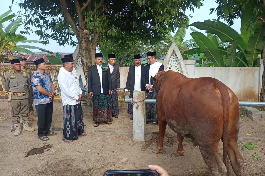 Serahkan Sapi Kurban 850 Kilogram, Bupati Madiun Tekankan Nilai Keikhlasan dan Gotong Royong Foto BeritaJatim.com