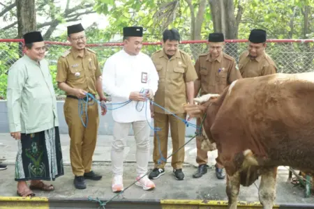 SIG Bagikan 292 Hewan Kurban ke 19 Provinsi pada Iduladha 1447 H Foto BeritaJatim.com