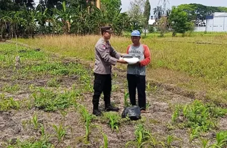 Turun ke Lahan Pertanian, Polres Mojokerto Kota Berikan Bantuan Pupuk Foto BeritaJatim.com