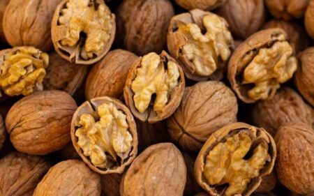 Tak Hanya Enak, Kacang Kenari Punya Banyak Manfaat untuk Tubuh Foto BeritaJatim.com