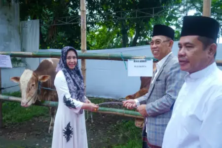 Semangat Berbagi di Tengah Tantangan Ekonomi, Korpri Kota Mojokerto Himpun 25 Hewan Kurban Foto BeritaJatim.com