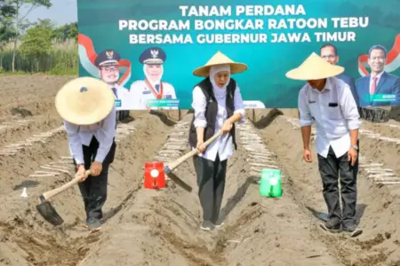 Gubernur Jatim Khofifah Pimpin Tanam Perdana Program Bongkar Ratoon Tebu Serentak di Kediri Foto BeritaJatim.com