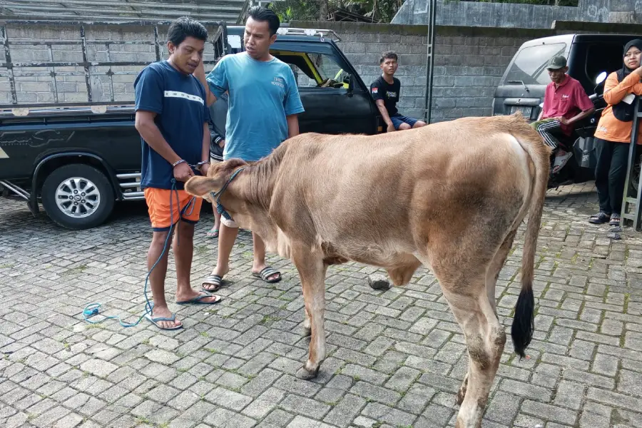 Foto BeritaJatim.com