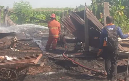 Kandang di Jombang Ludes Terbakar, Dua Kambing Mati Terkapar Foto BeritaJatim.com