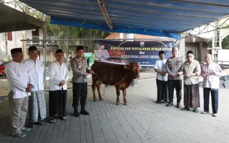 Jelang Iduladha 1447 H, Kapolres Jombang Serahkan Hewan Kurban untuk Pesantren Foto BeritaJatim.com