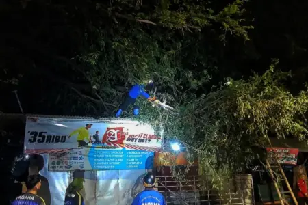 Pohon Asam Tumbang Timpa Warung Kelontong di Situbondo, Atap Rusak Ringan Foto BeritaJatim.com